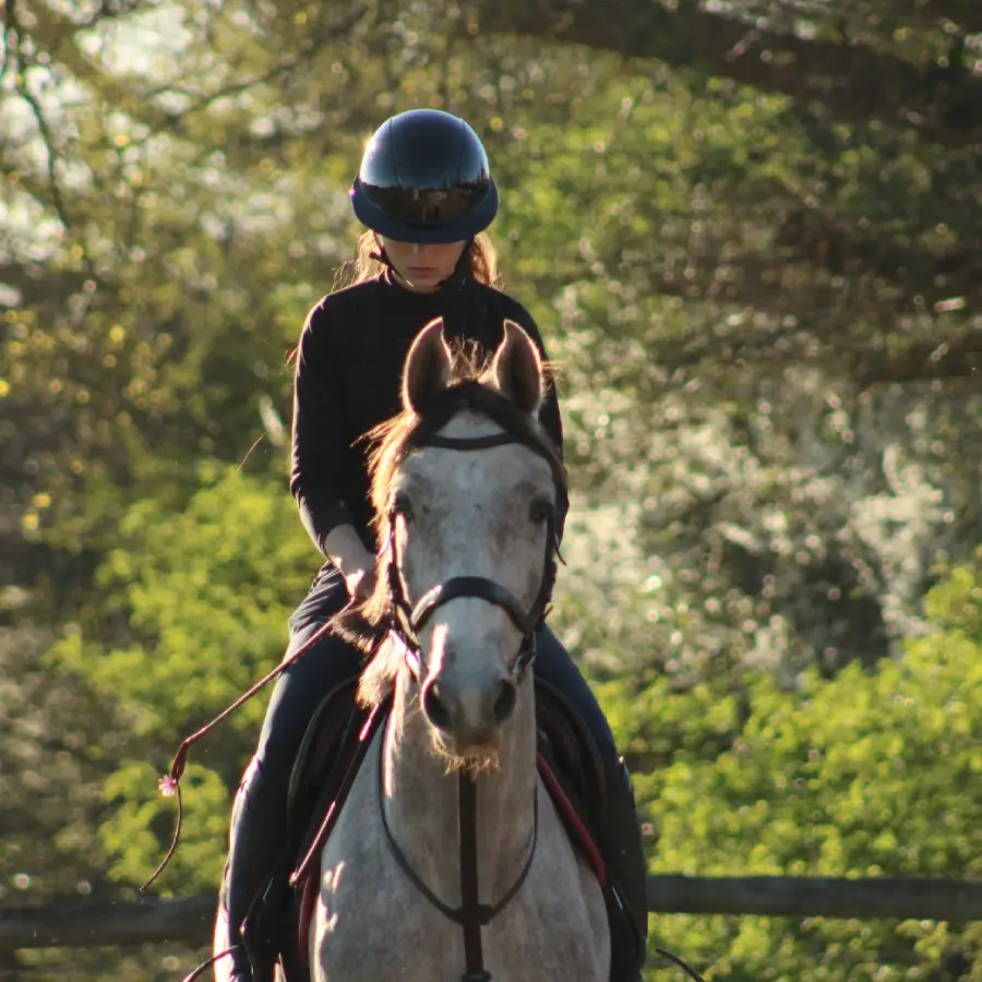 Cours d'équitation à Saint-Georges-sur-Loire