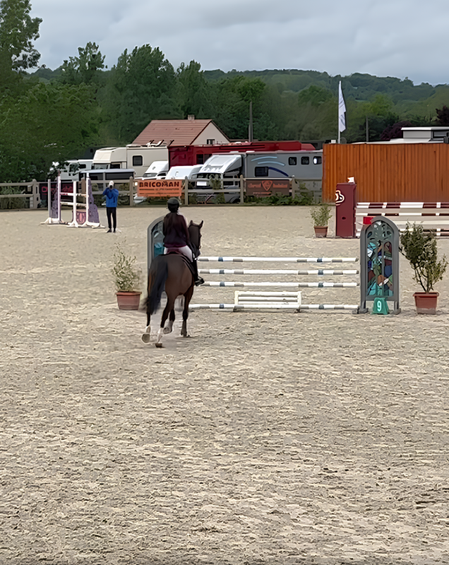 Cours d'équitation à Angers