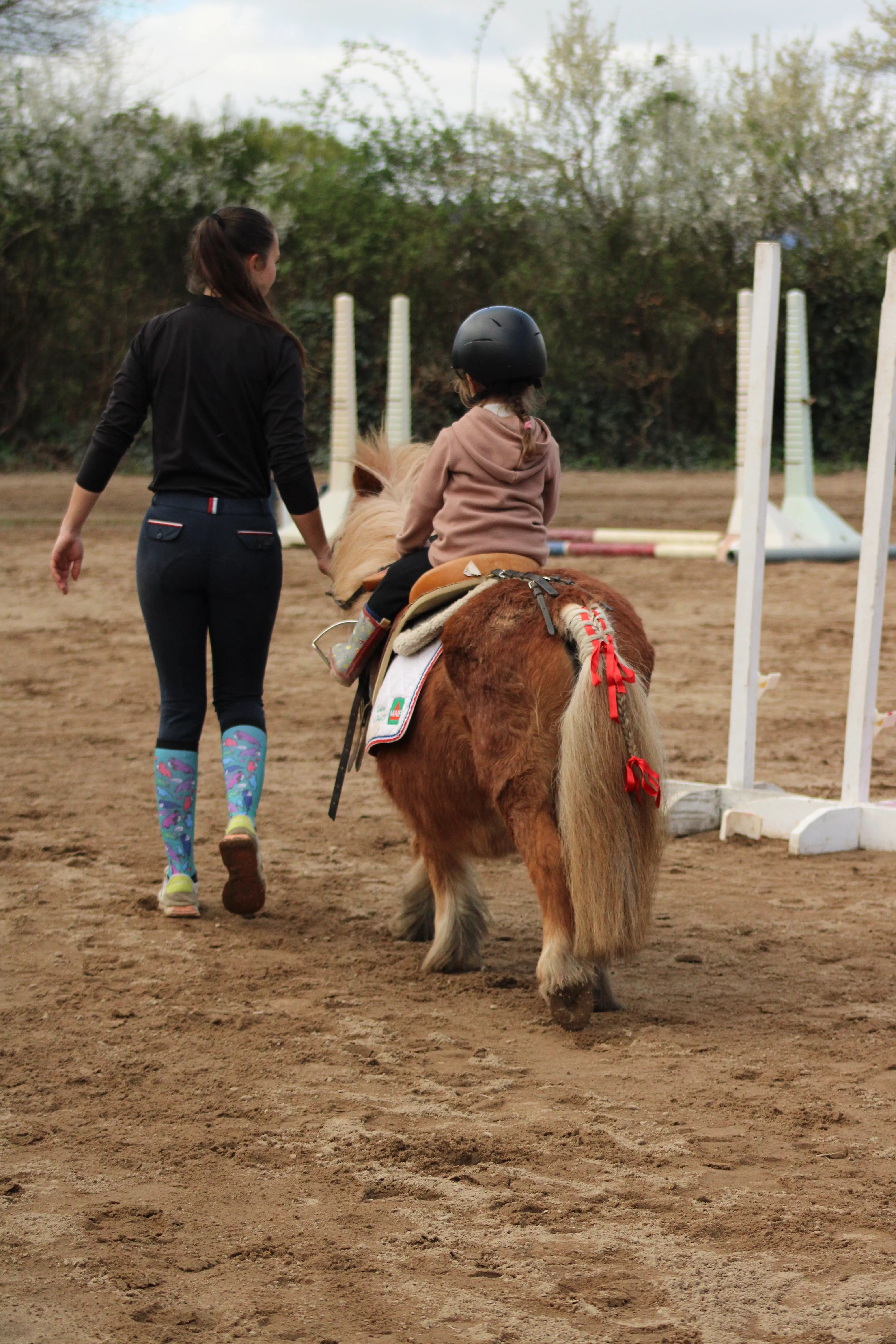Poney club à Saint-Georges-sur-Loire